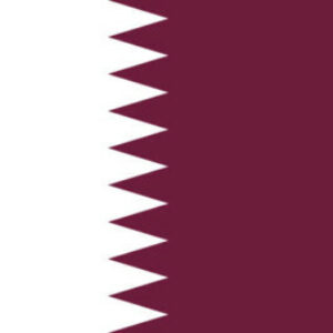 Group logo of South Africans In Qatar